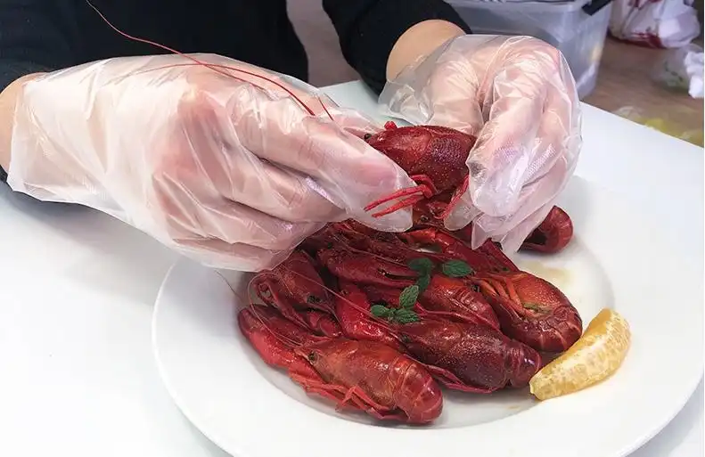 HDPE Box Disposable Gloves HDPE Box Disposable Gloves